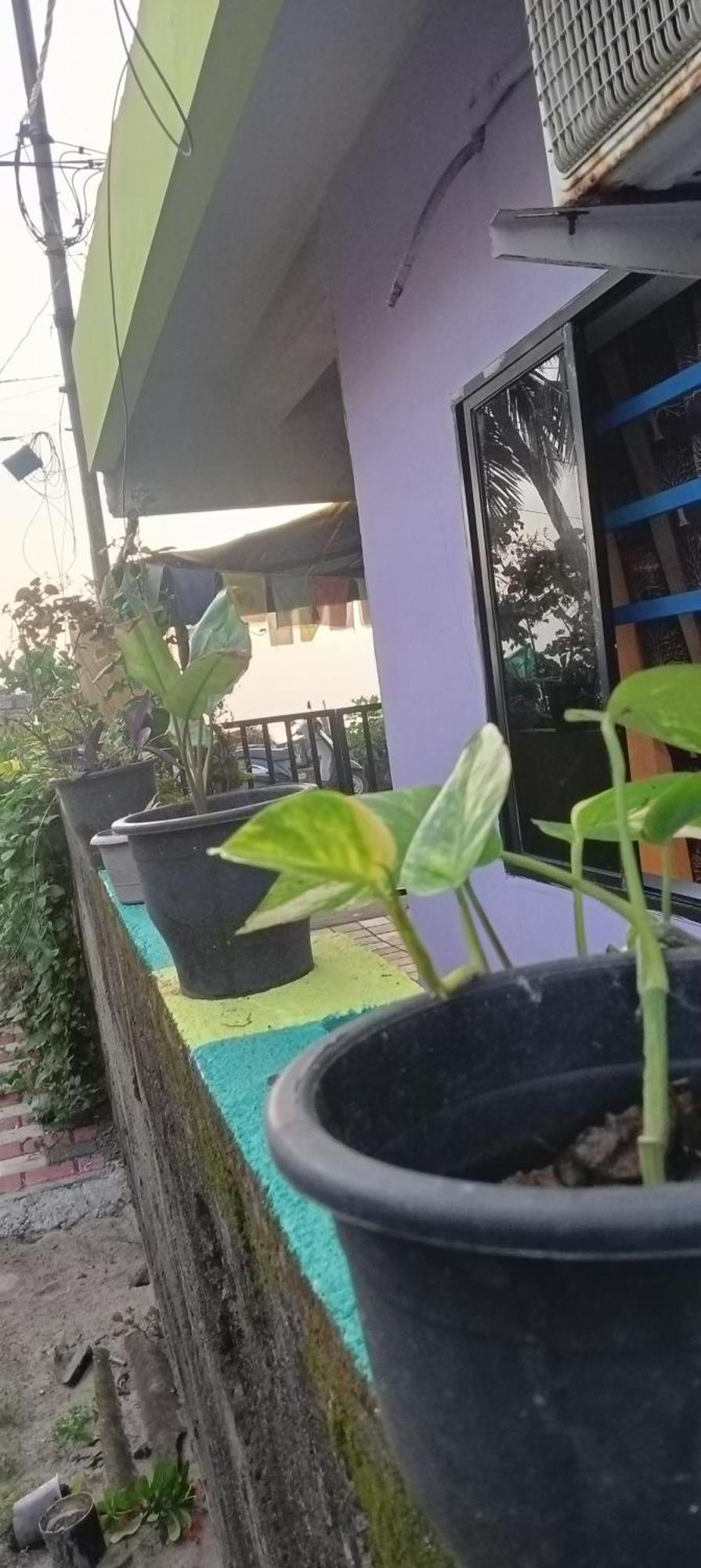 Peace And Love Stay Alappuzha 外观 照片
