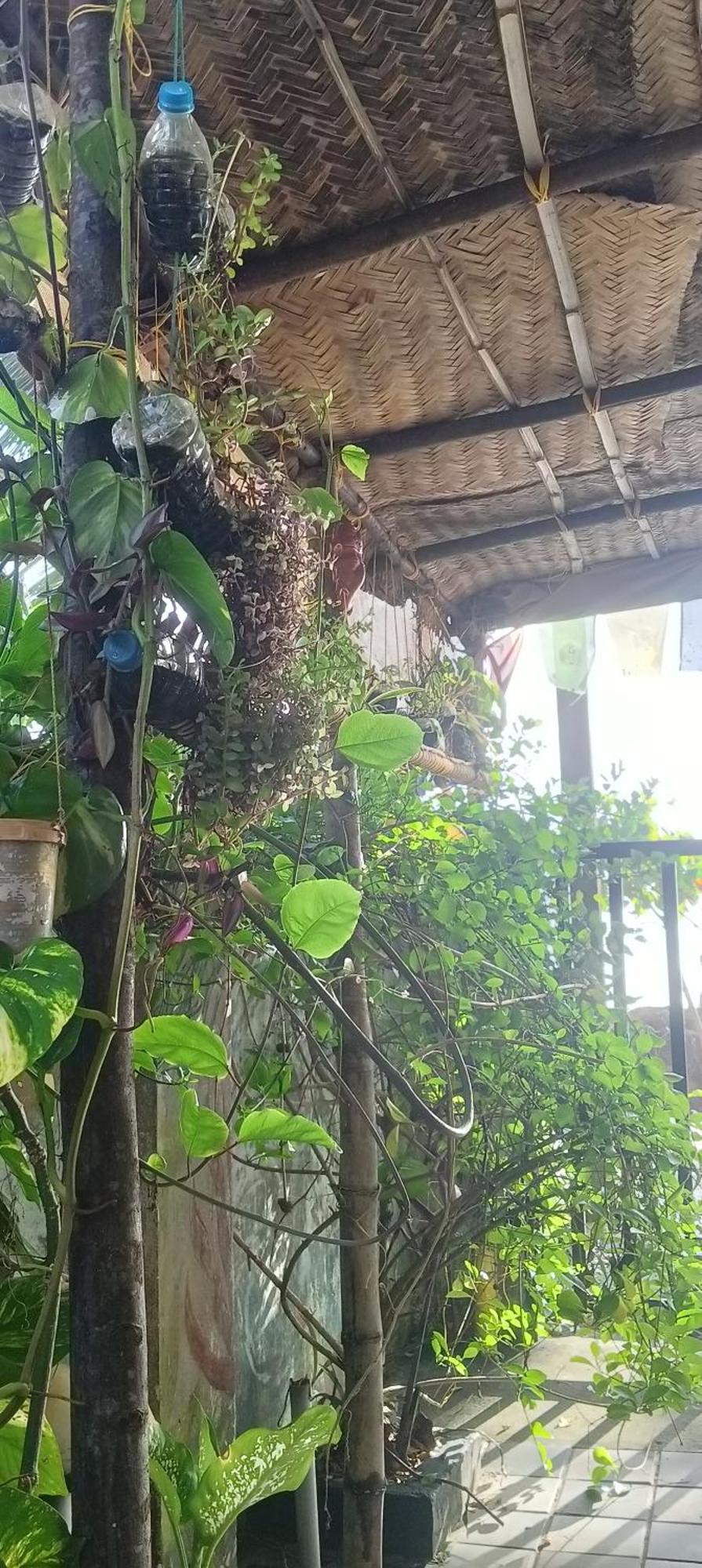 Peace And Love Stay Alappuzha 外观 照片